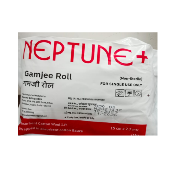 Neptune Gamjee Roll